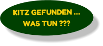 KITZ GEFUNDEN … WAS TUN ???